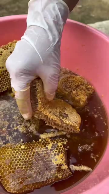 广西灵山荔枝蜜，龙眼蜜