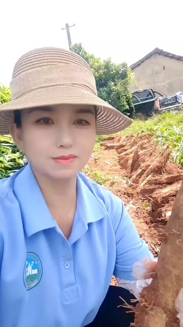 广西白淮山山药产地直供欢迎咨询