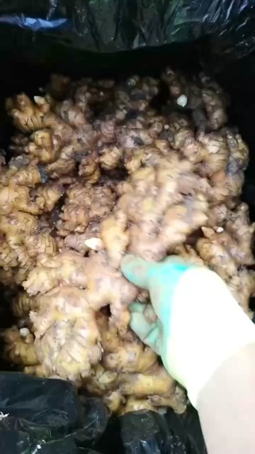 盘州市贵州小黄江