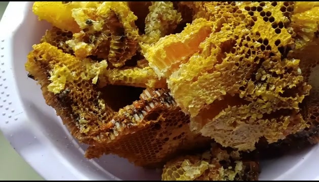 石泉县农村土蜂蜜销售
