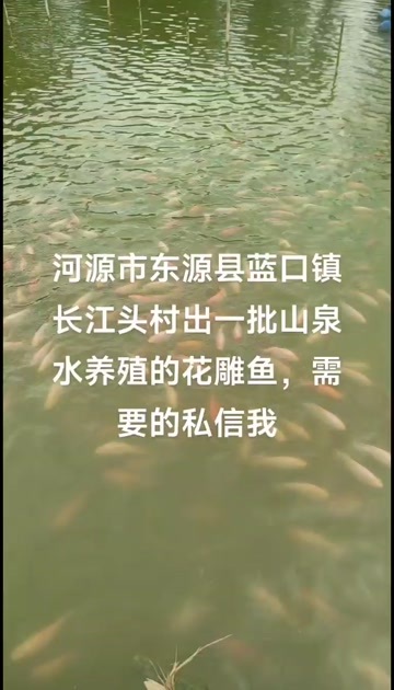 东源县红罗非，花雕鱼，一斤以上