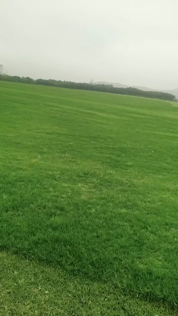 合肥巢州百慕大量大价优