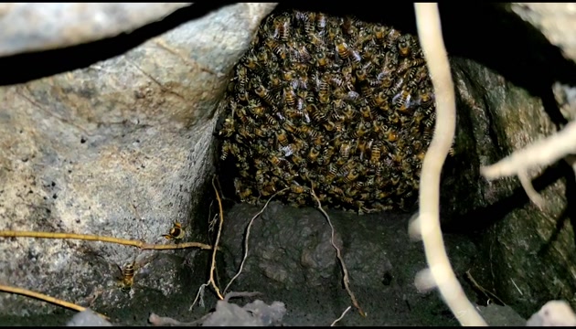 现找现卖土货