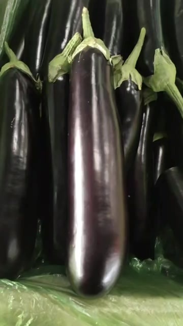 寿光市绿把茄子