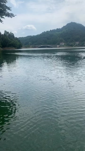 水库转让