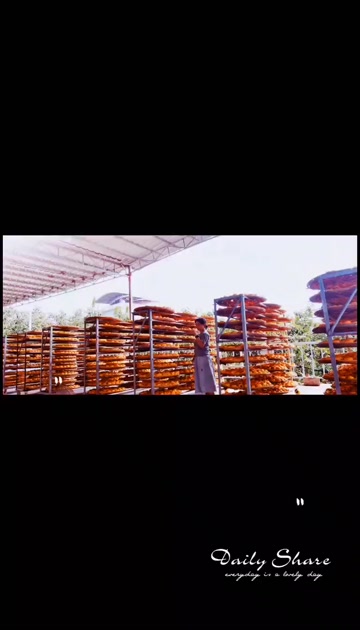 广西恭城柿饼产地直发土特产月柿果干果脯优选自然晾晒农家风味