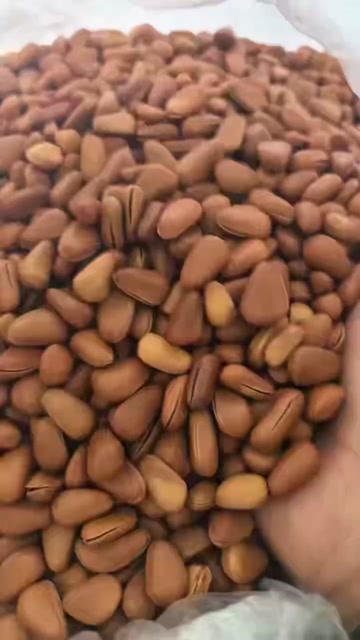东北红松子精品货电商货批发