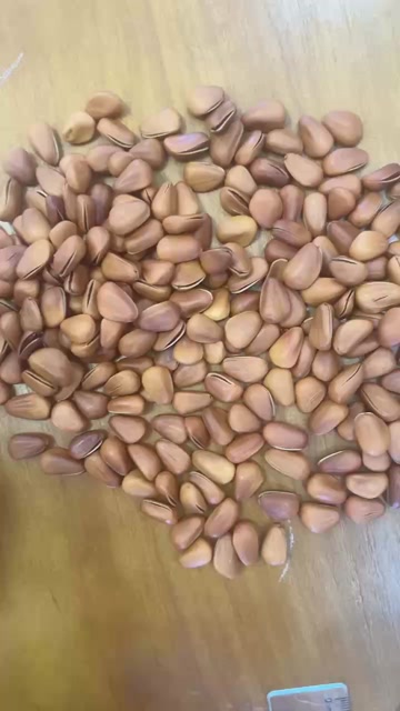 东北红松子精品货电商货批发