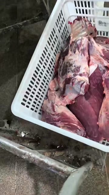 原切牛肉   发货的找我