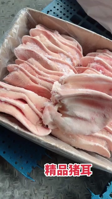 猪副产品 新鲜冷冻 爽脆可口 卤拌烧烤 胶质丰富