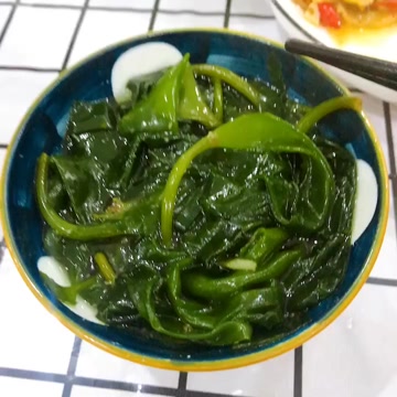 东山岛海带嫩苗