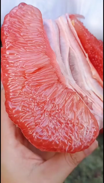 平和琯溪三红蜜柚红心柚
