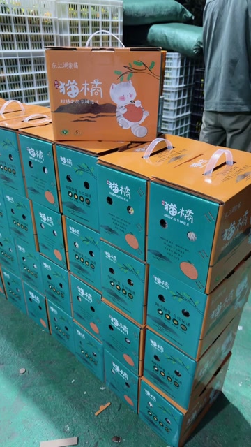 顺丰 玲珑猫橘-东江湖蜜桔