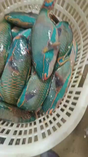 青衣