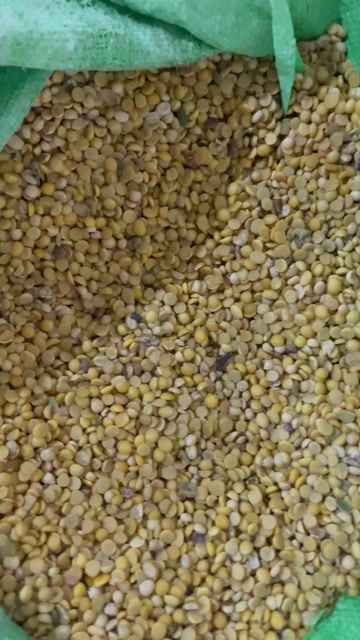 碎黄豆