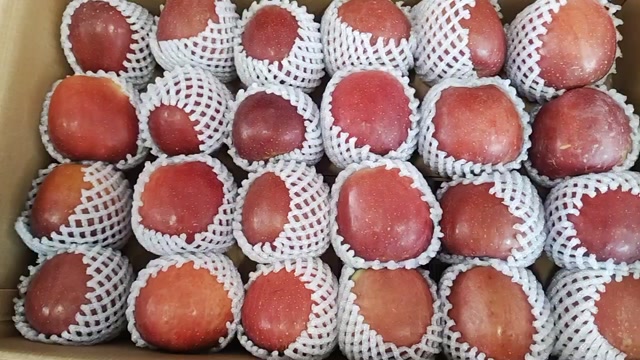 丑苹果70-80中大果