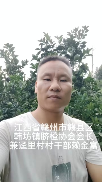 江西赣南脐橙。