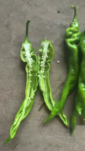 各种品种薄皮螺丝椒基地直供，一年四季