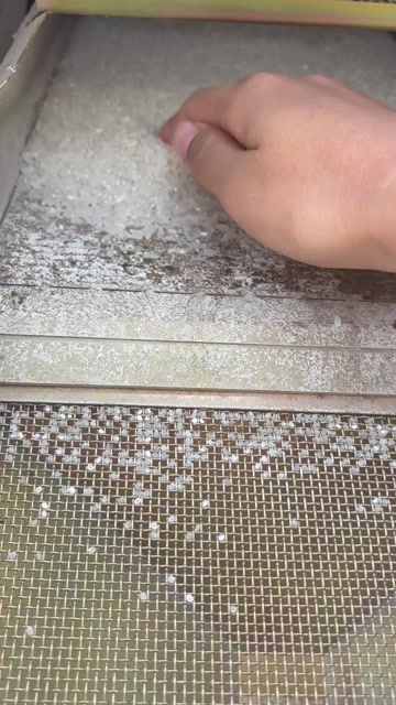 东北长粒香，泰来大米，晶莹剔透，自己家水稻，纯新米