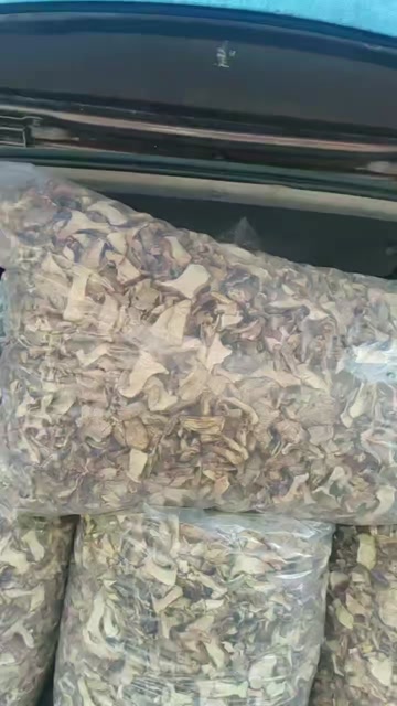 蘑菇