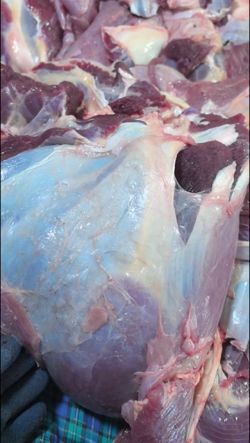 国产牛肉 本地黄牛肉 五斤独立包装 有长期稳定供应能力