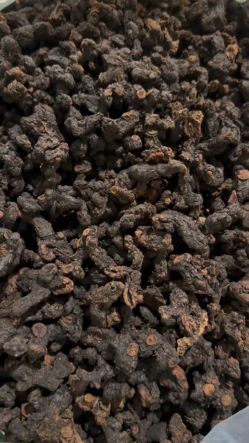 九蒸九晒小黄精 黄精个