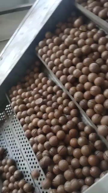 新货精品夏威夷果奶香味十足