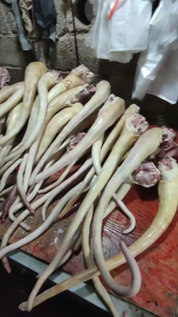 精修带皮牛尾修油不带尾骨量大从优冷链发货