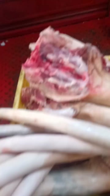 精修带皮牛尾修油不带尾骨量大从优冷链发货