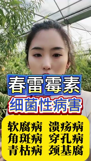 6%春雷霉素水稻稻瘟病角斑病软腐病农药杀菌
