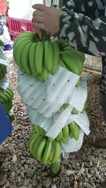 大量现货上市， 需要的这里都有，适合可来场地看