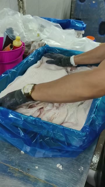 肥猪大白膘  现货10吨