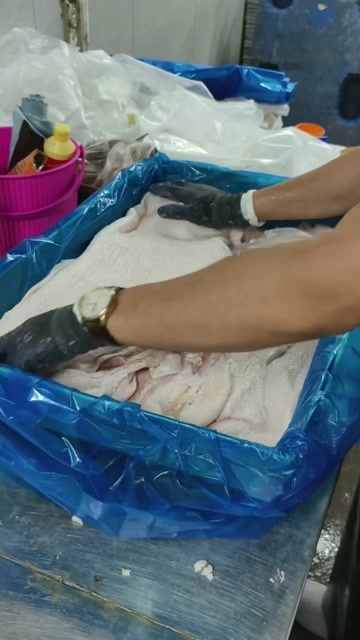 菏泽肥猪大白膘  现货10吨