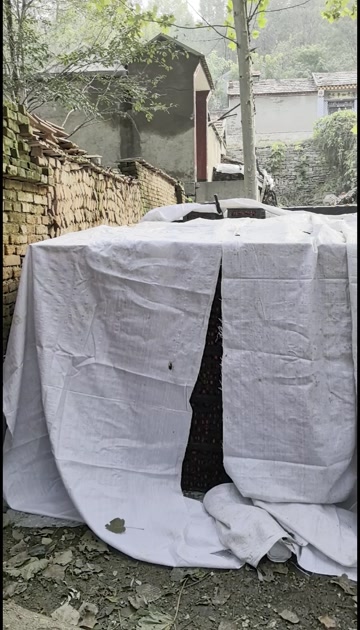 果脯商家，打浆商家看过来，量大，大金星通货，颜色稍差点！