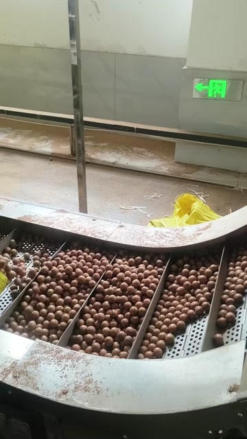 新货精品夏威夷果奶香味十足