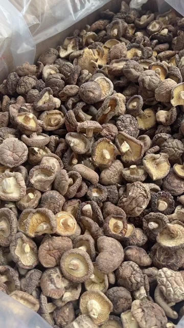 香菇 地摊电商批发香菇干冬菇花菇香菇干货批发