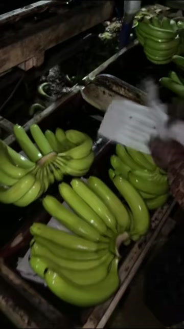这种品质，货量，还在观望啥呢，过了就没有这种品质了