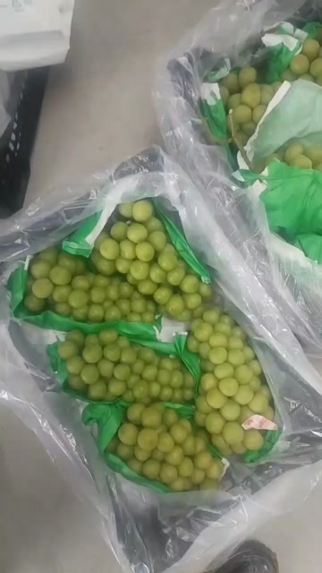 出库阳光玫瑰需要的联系