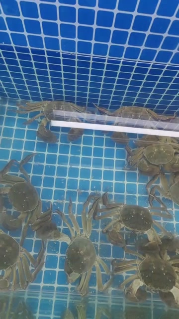大闸蟹产地直发