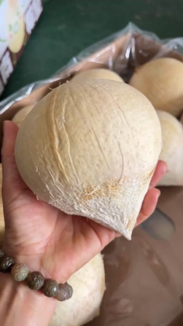 越南椰皇口感浓香甜味足24个头32个头40个头工厂直发