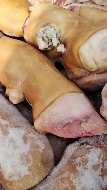 牛掌
