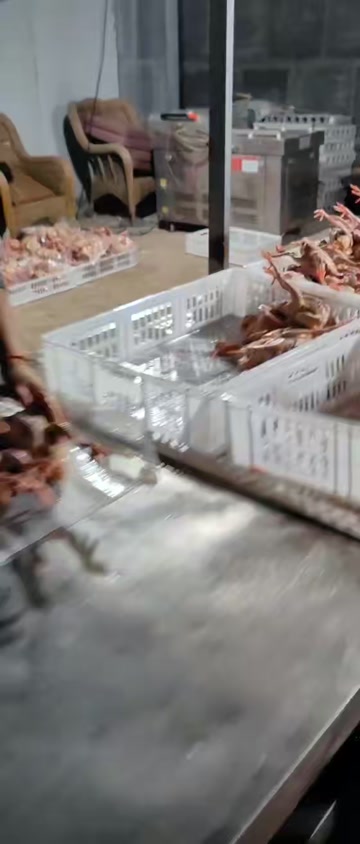 九两以上全羽。主供电商批发商。