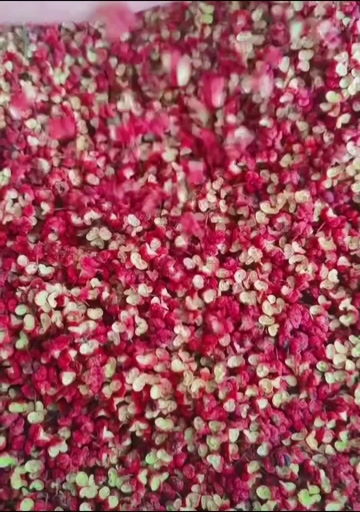 四川2025年茂县新花椒，无硫化，无提油，一件起批