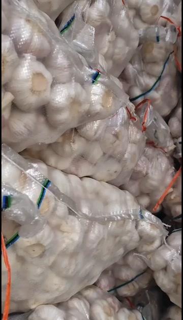 广东广州｜江苏邳州冷库蒜大蒜 农家自种 新鲜紫皮干蒜30kg