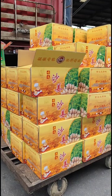 广东广州｜精选沙姜 肉质紧实 辛辣味浓 为菜肴增添独特风味