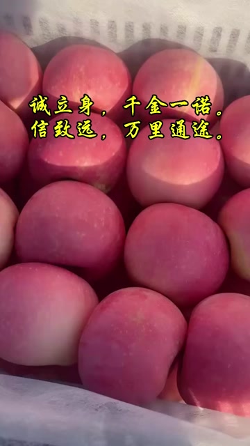 山东蒙阴红富士苹果
