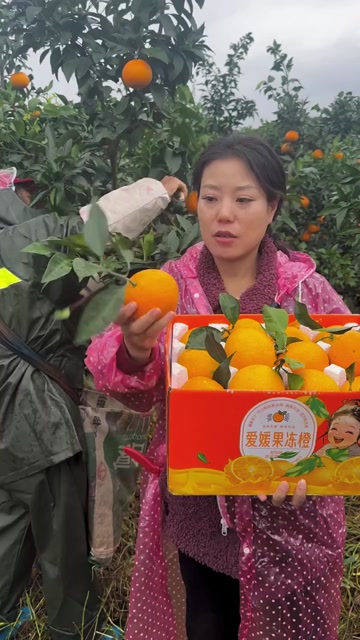 四川蒲江爱媛38果冻橙 新鲜柑橘类水果产地直发