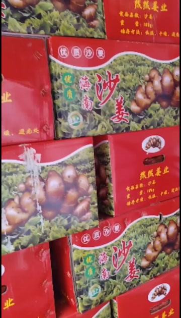 广东广州｜海南沙姜 可制作白切鸡 椰子鸡 沙姜饭等多种美食