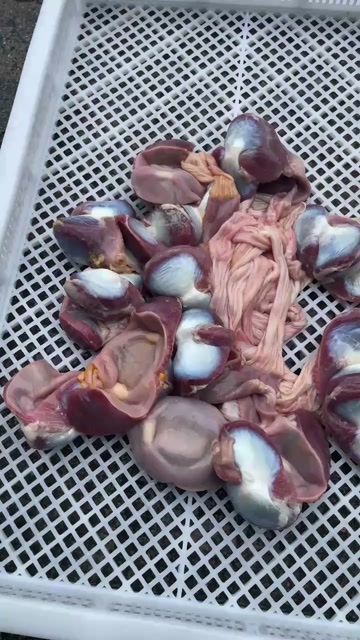 南宁屠宰场大量供应新鲜鸭胗