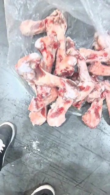 郑州母猪光腿骨便宜出一车